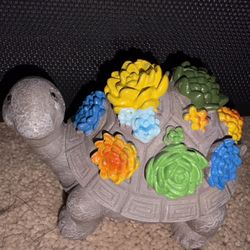 Turtle 