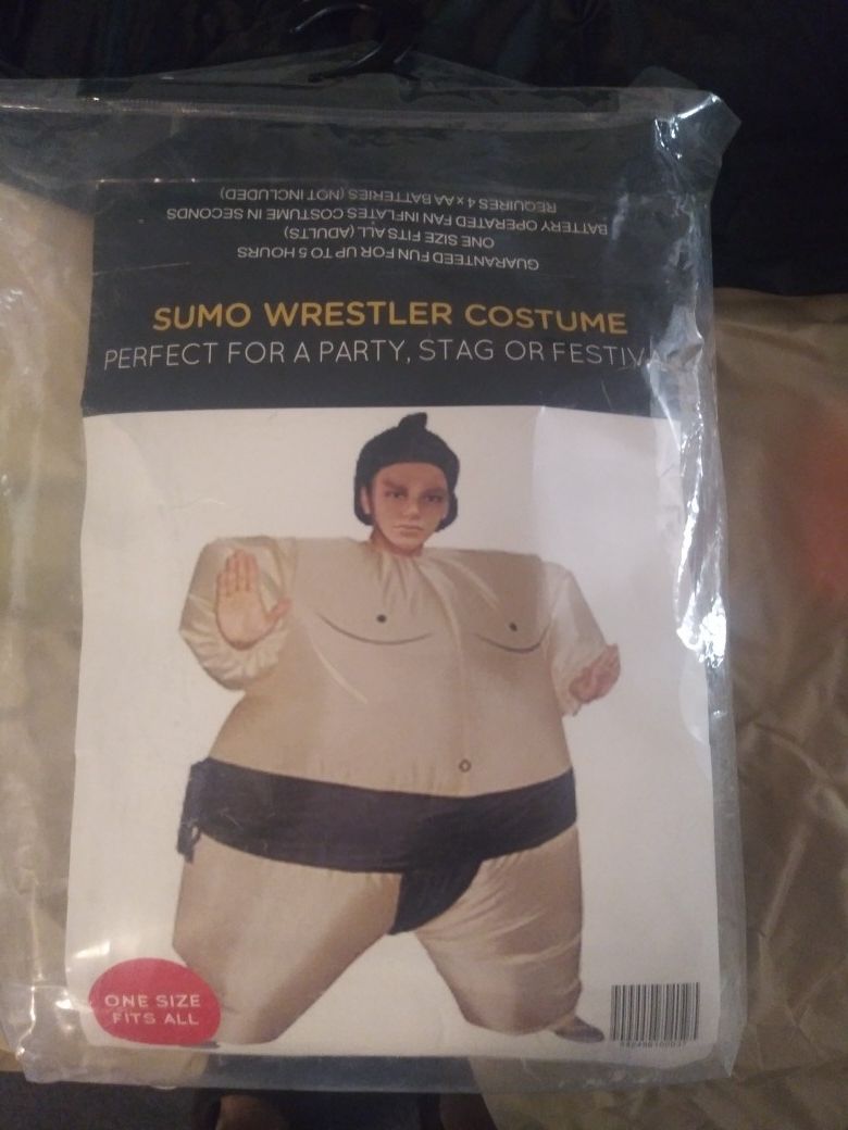 Sumo Wrestler costume