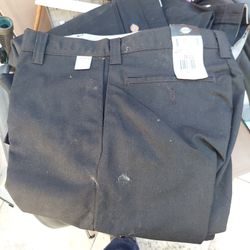 Dickie Pant