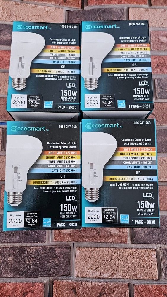 Light Bulbs/Focos