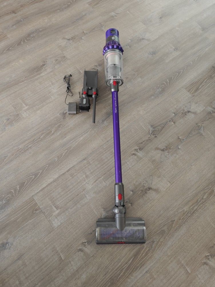 Dyson V10 Animal