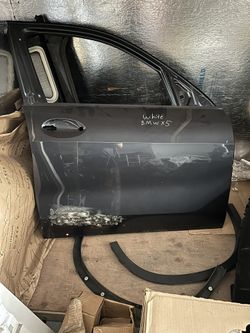 21’ X5 Door Shield