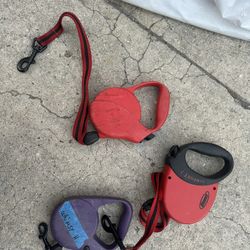 Flexi dog leash retractable 