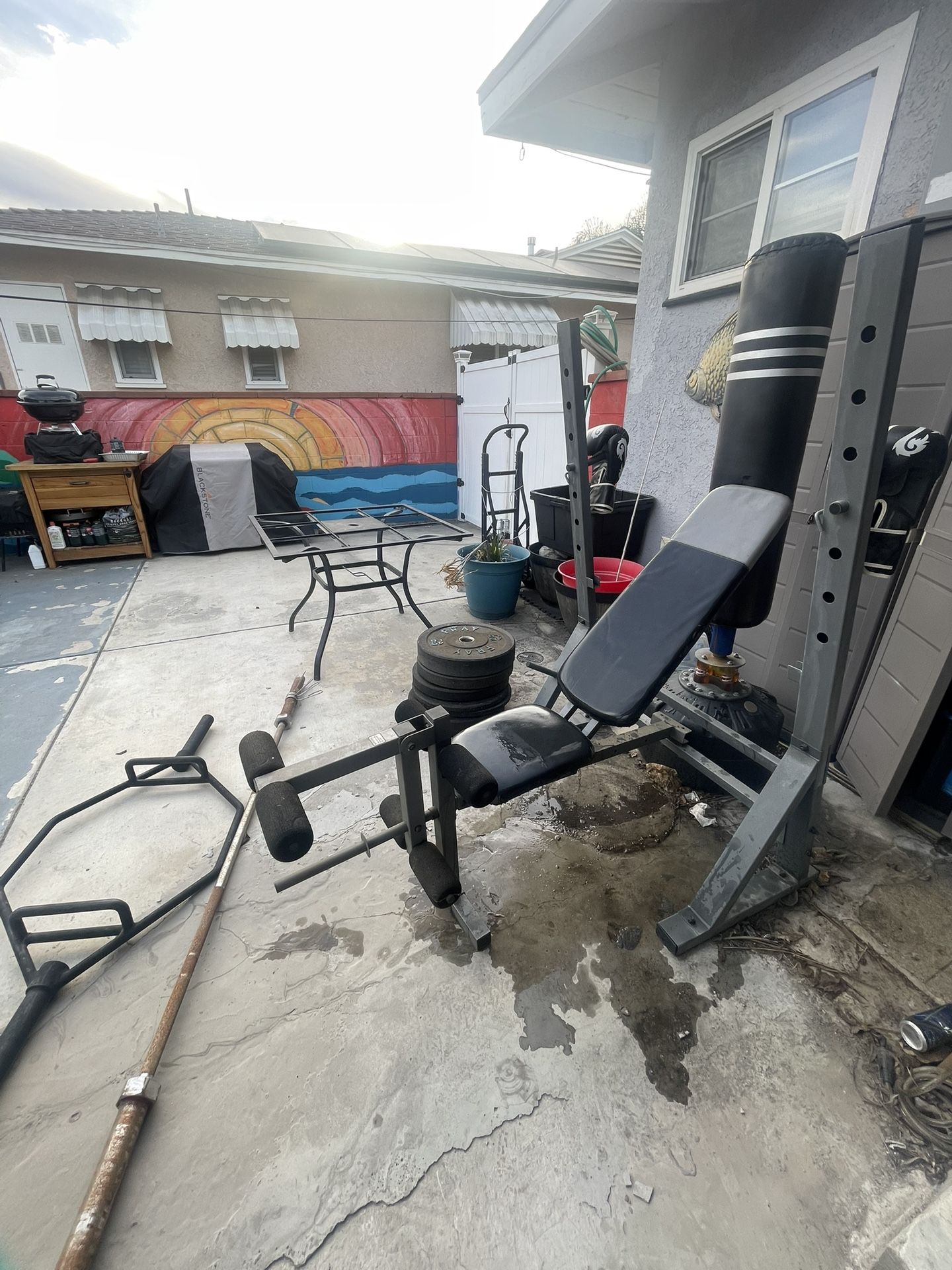 Gym Equipment