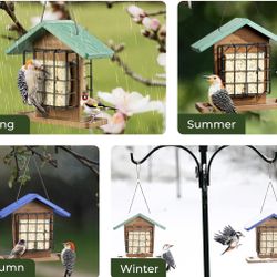 New bird feeder
