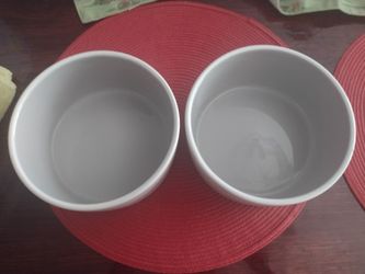2 Glass Dog Bowls 