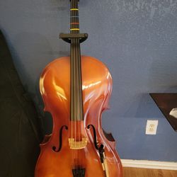 Professional Cello 4/4