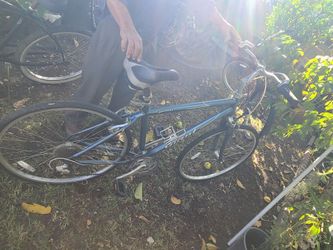 Cypress Giant Bike