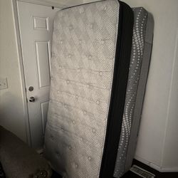 Two Brand Twin  Beds 