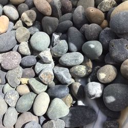 Mexican Beach Pebble 75# Bags