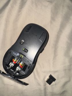 Computer Mouse