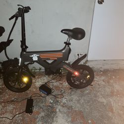 Electric Bike 