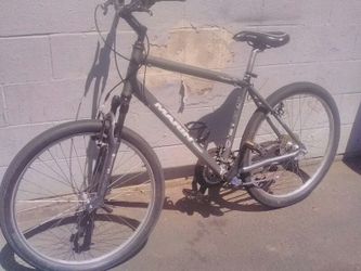 Marin hybrid