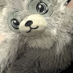 Raccoon
