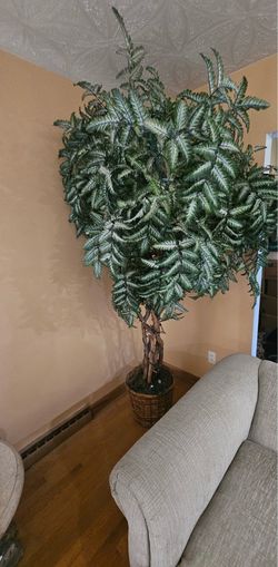 Large indoor TREE