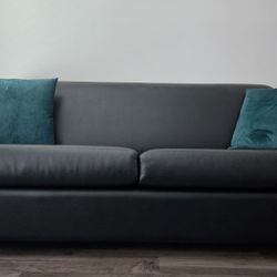 Black Leather Couch