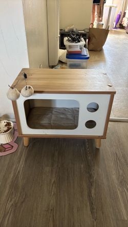 Cat bed/toy (MUST GO TODAY)