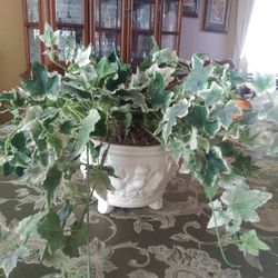 Ceramic Planter With Greenery