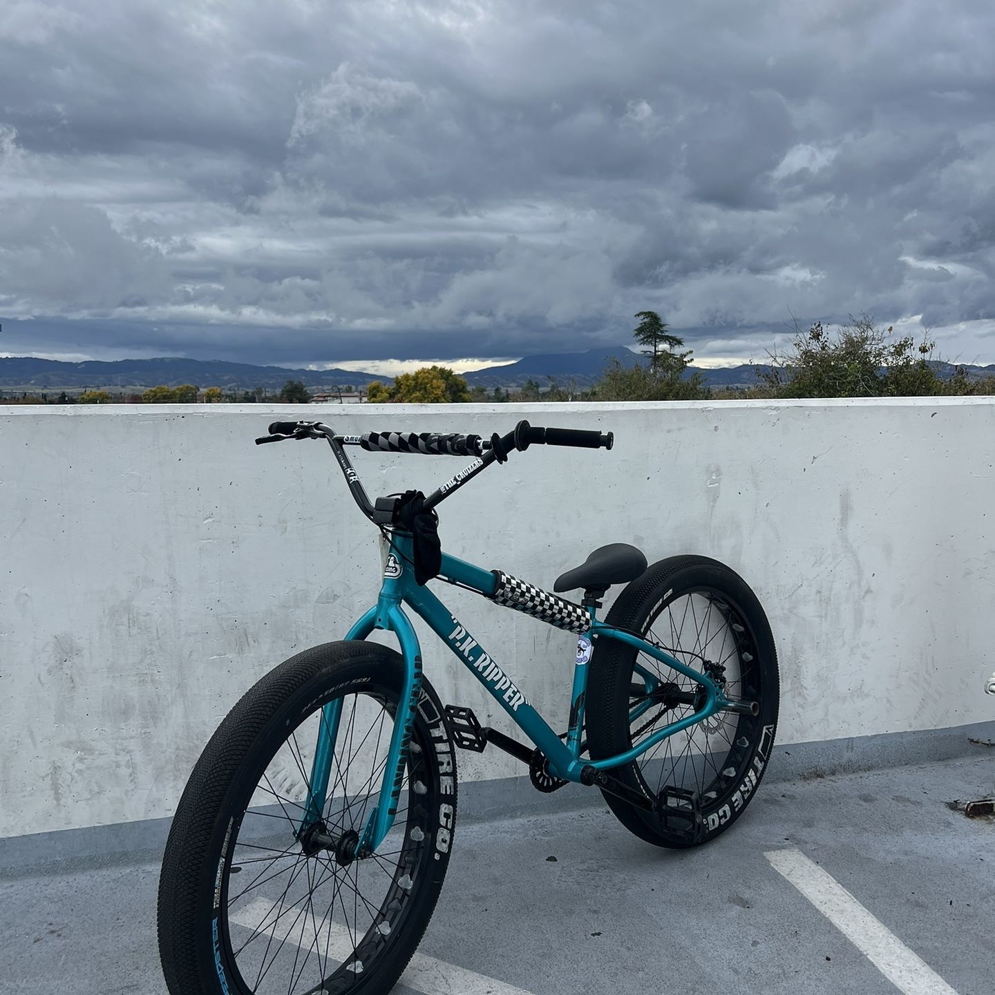 Se Fat Ripper Rims Gold SE Bikes Custom Fat Ripper for Sale in Antioch, CA - OfferUp