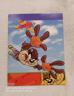 Vintage Looney tunes skydiving taz 2 pockets folder