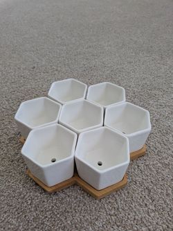 Hexagon plant set