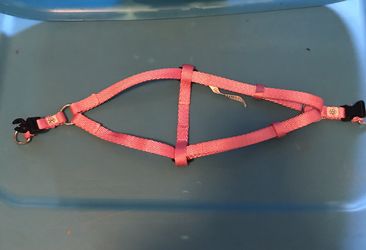 Pet Harness