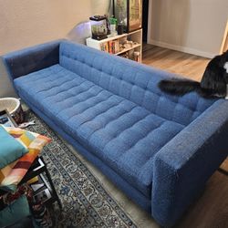 Blue Couch