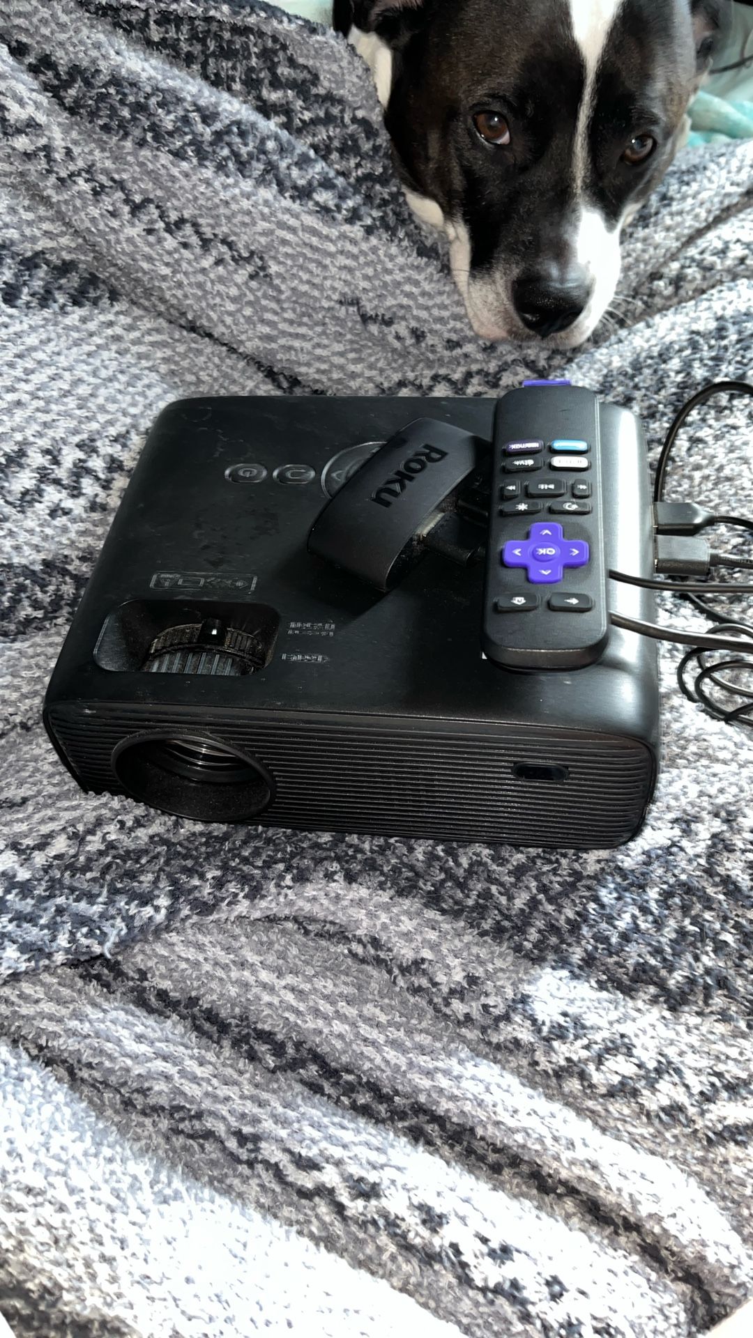 projector With Roku Connector $150 obo