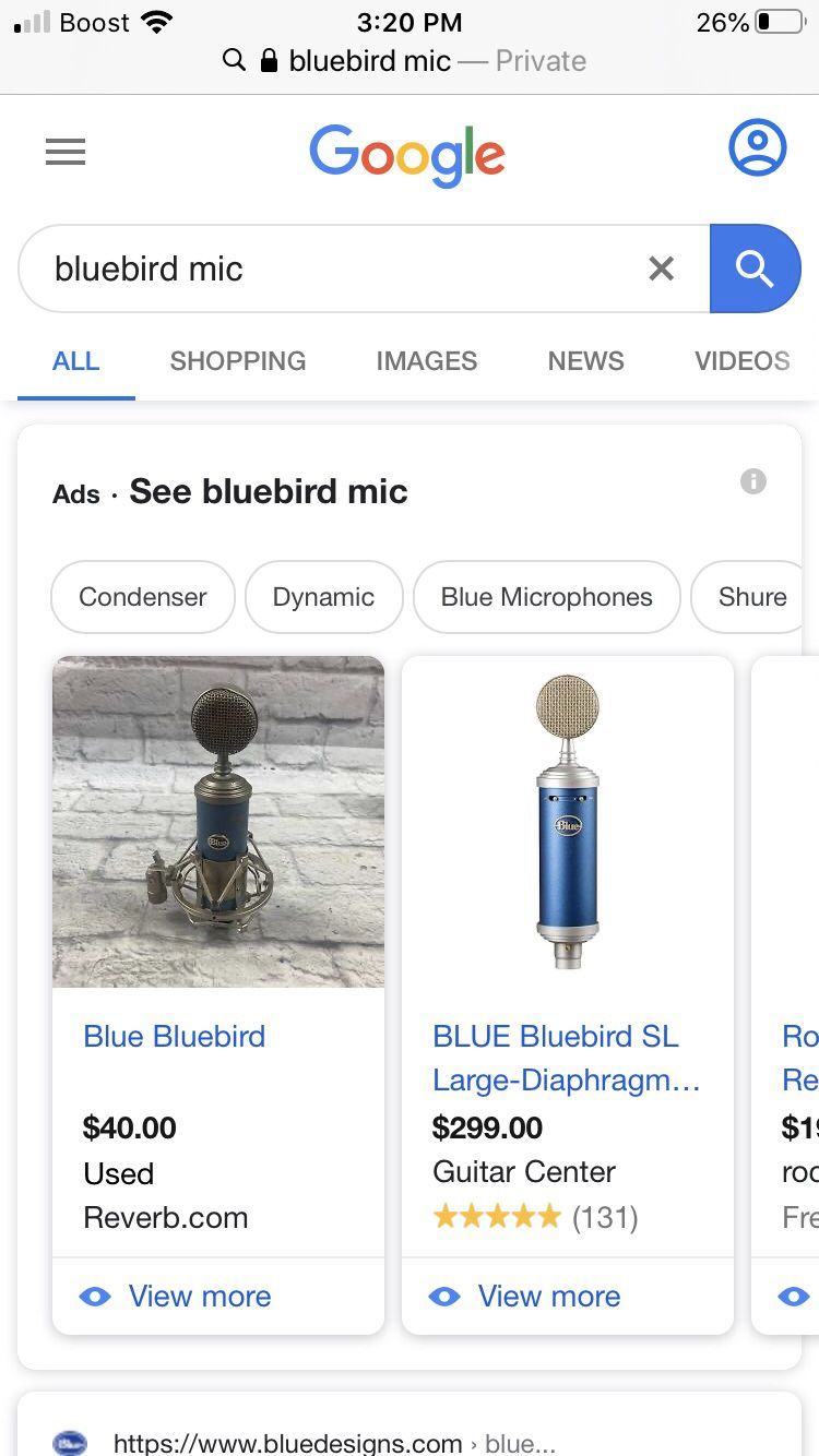 Blue bird mic
