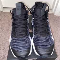 Nike Lebron Witness IV EP