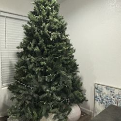 10ft Tree 