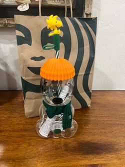 Starbucks x Peanuts Snoopy Glass Cup