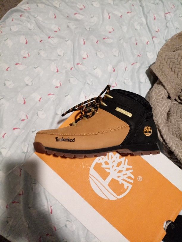 Brand New Timberland