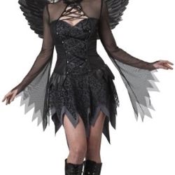 Dark Angel Ladies Costume Size Small 