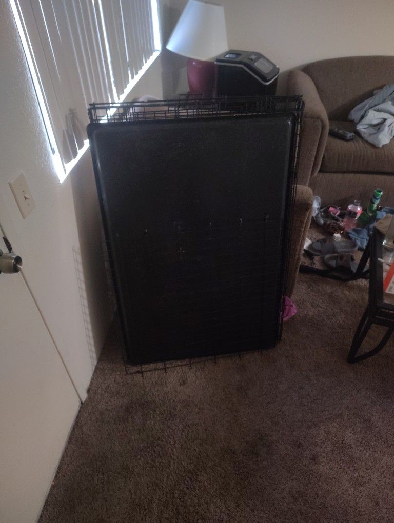 Large Dog Kennel
