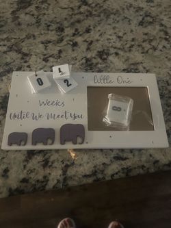 Baby Countdown Weeks Photo Frame