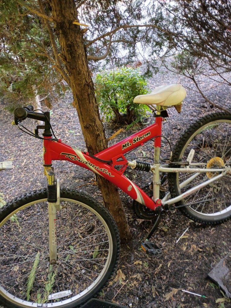 Roadmaster Mountain Bike 