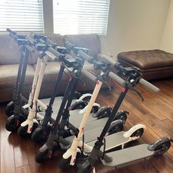 Electric Scooter For Adults 