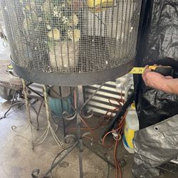 Bird cage 