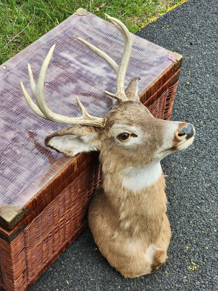 Deer Head,All Products : American Fashion Style Bags On Sale