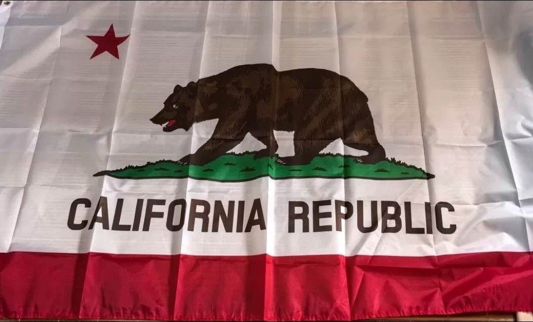 California State Flag 5ftx3ft Bandera $20 Firm On Price 