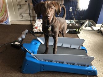 Petzen treadmill best sale