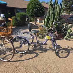 3 wheel tricycle Adult