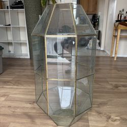 Tall Glass Geometric Terrarium