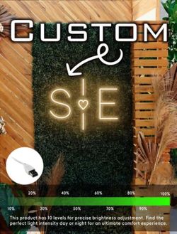 Custom sign light