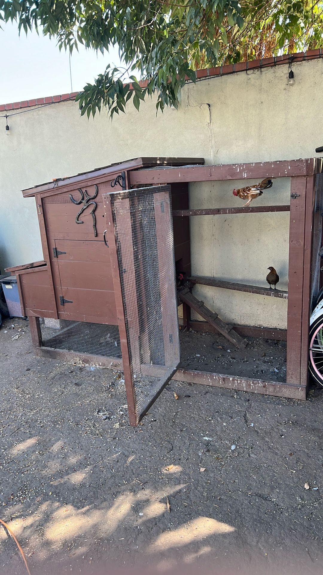 Chicken Coop
