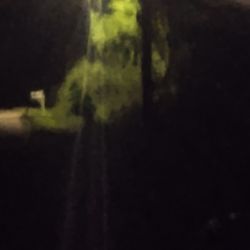 Has Someone Really Done You Wrong?