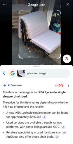 IKEA Lycksele Single Sleeper Chair Bed