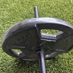 Bar and Weights