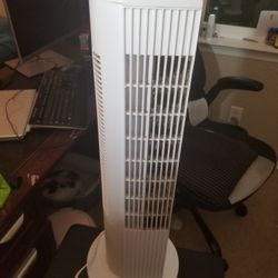 White Fan